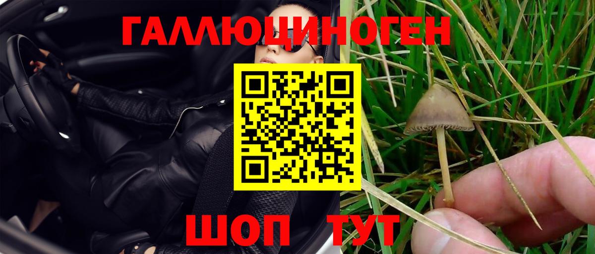 Ейск  Галлюциногенные грибы Cubensis  Псилоцибиновые грибы мицелий  Вход с VPN 