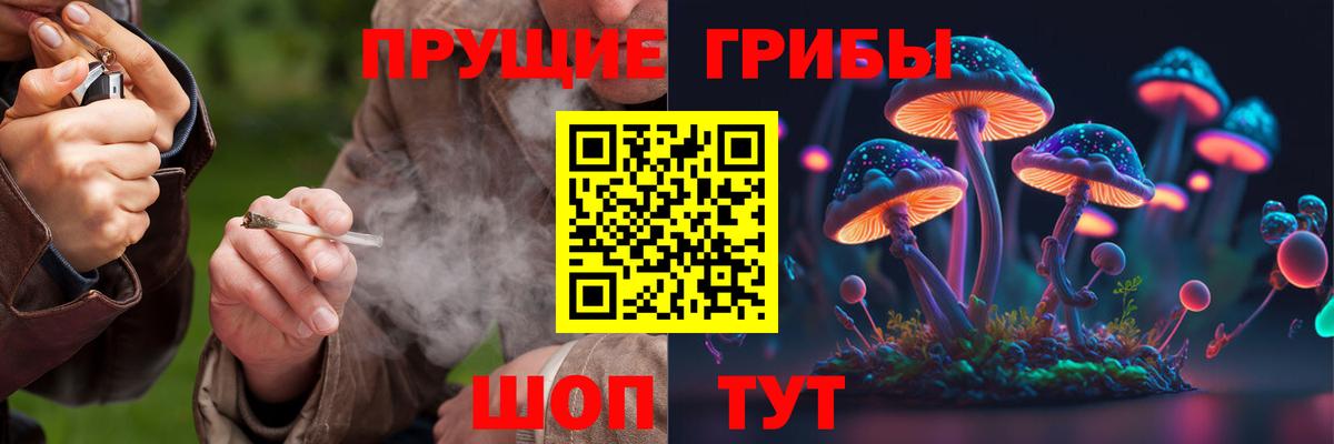 Псилоцибиновые грибы Psilocybine cubensis Ейск